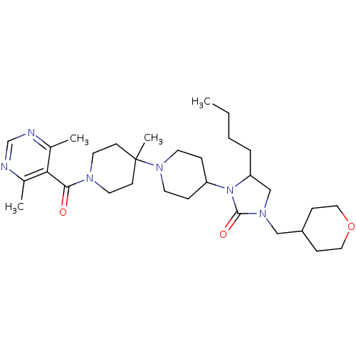 PNG
