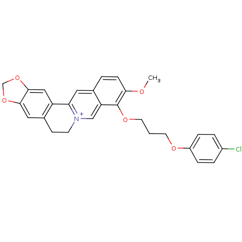 PNG