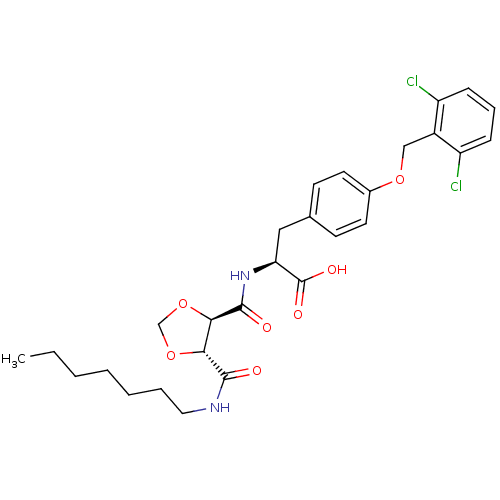 PNG