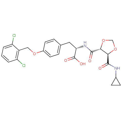PNG