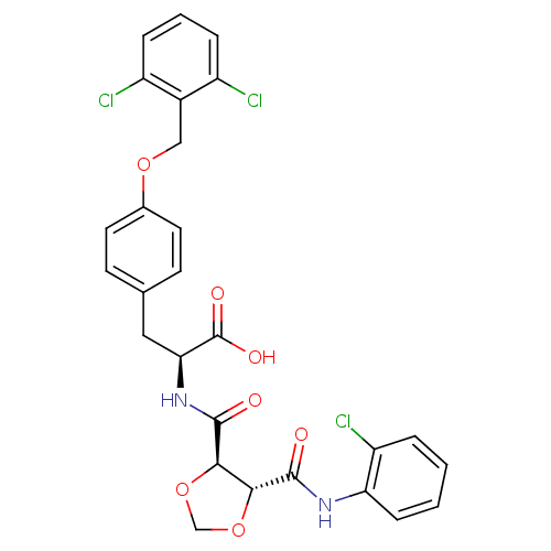 PNG