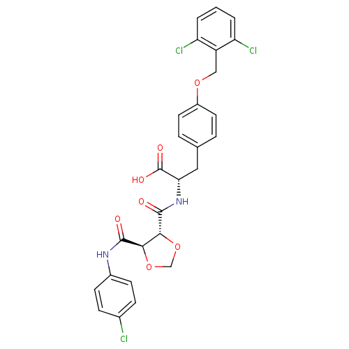 PNG
