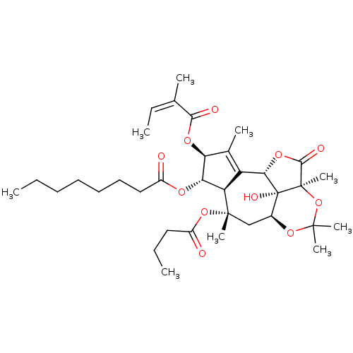 PNG