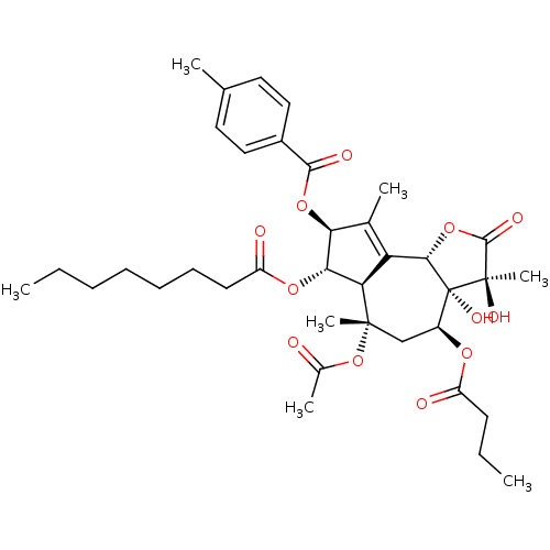 PNG
