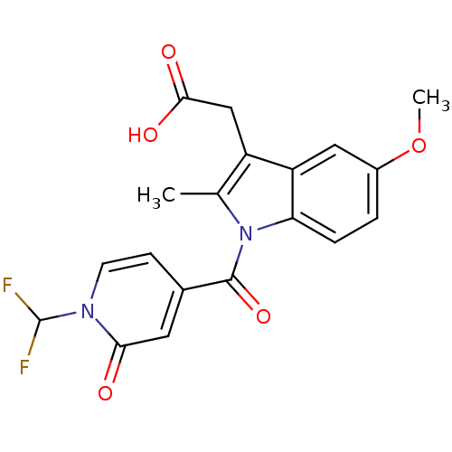 PNG