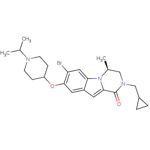 PNG