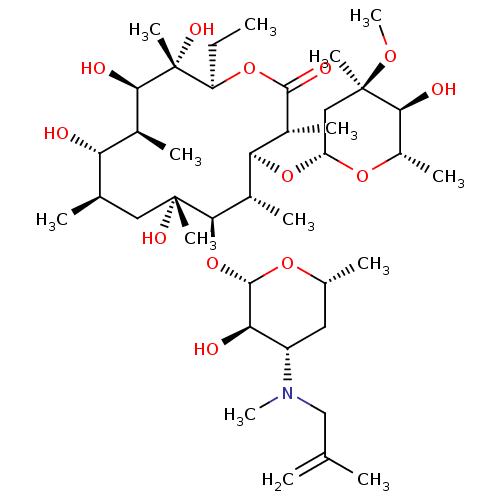 PNG