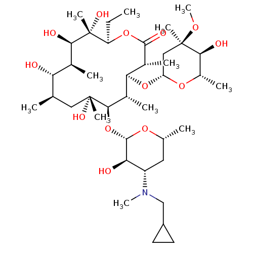 PNG