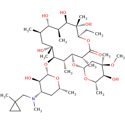 PNG