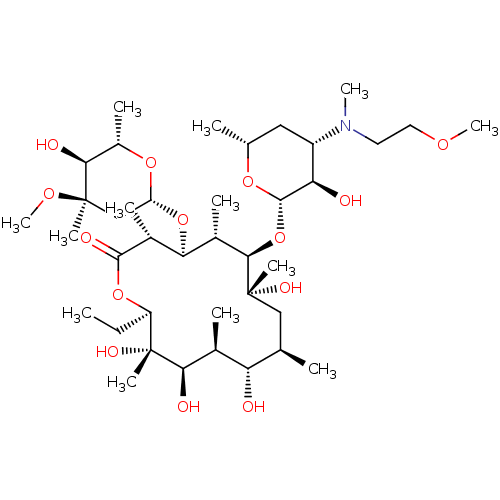 PNG