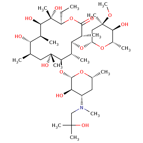 PNG