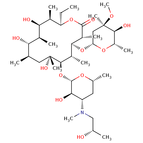 PNG