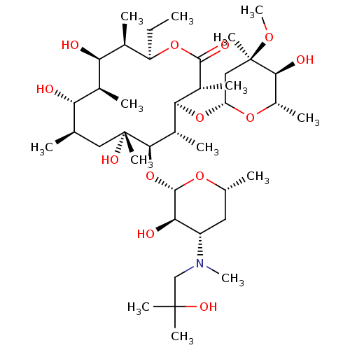 PNG