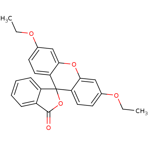 PNG