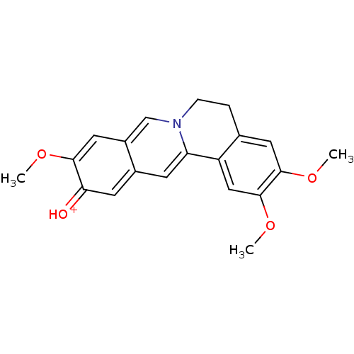 PNG