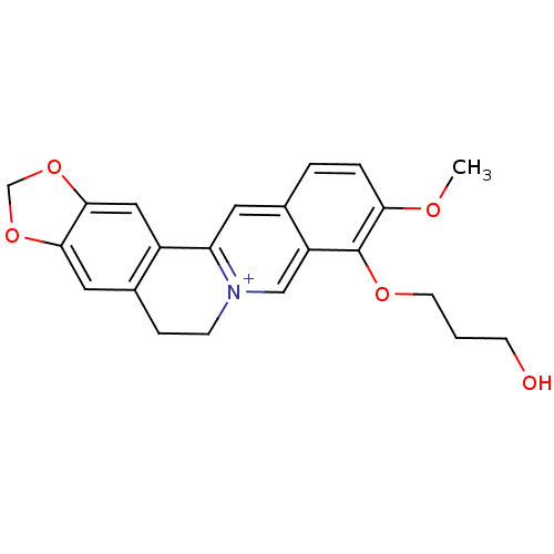 PNG