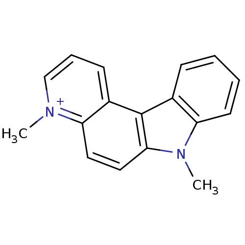PNG