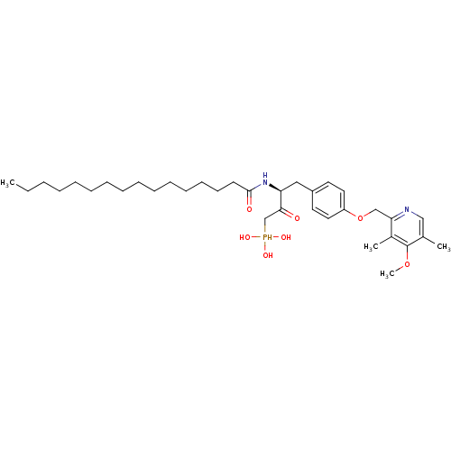 PNG