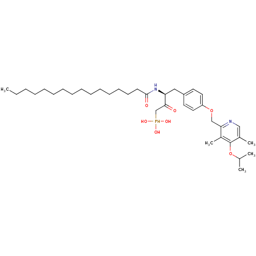 PNG