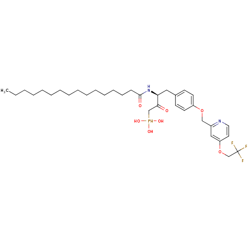 PNG
