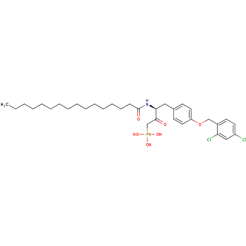 PNG