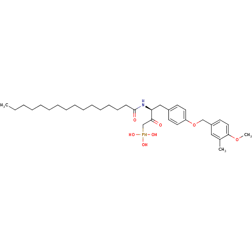 PNG
