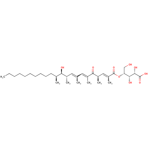 PNG