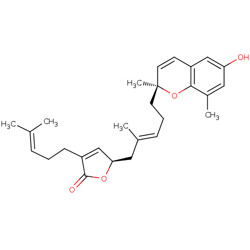 PNG