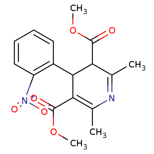 PNG