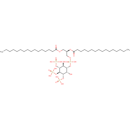 PNG
