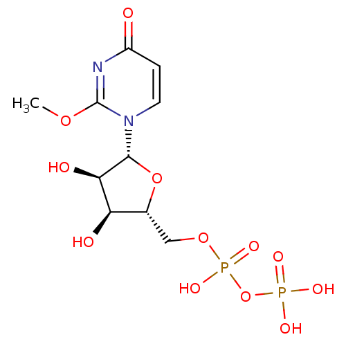 PNG