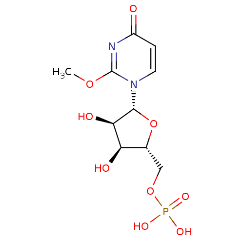PNG
