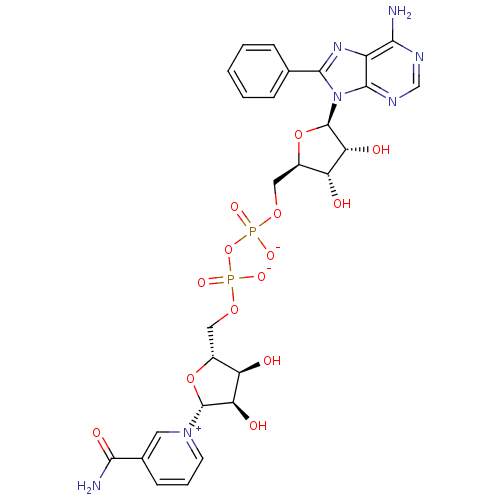 PNG
