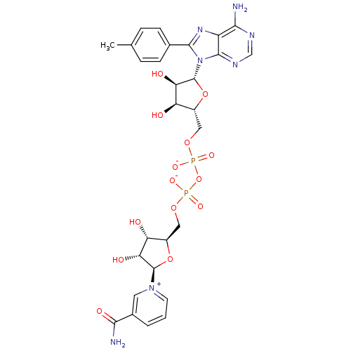 PNG