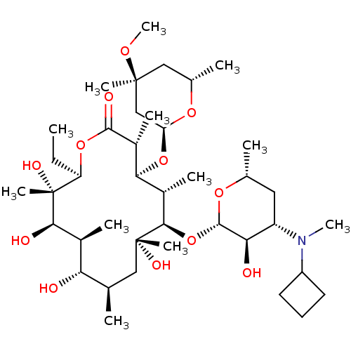 PNG