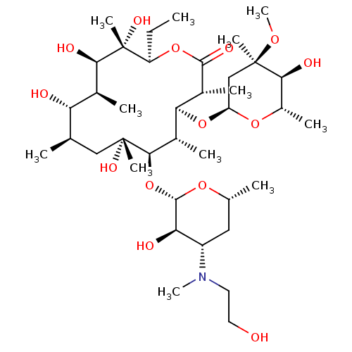 PNG