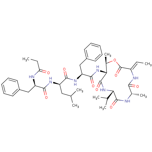 PNG
