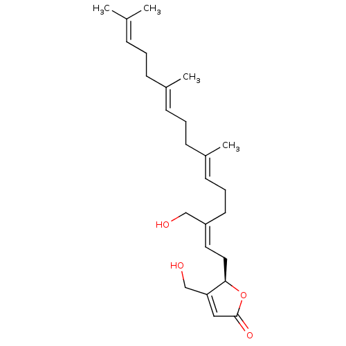 PNG