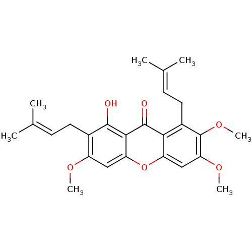 PNG
