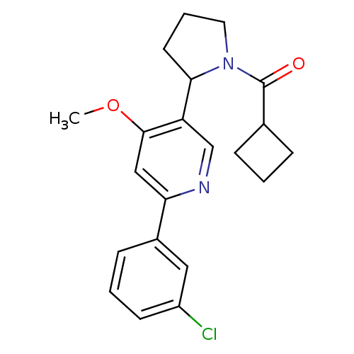 PNG