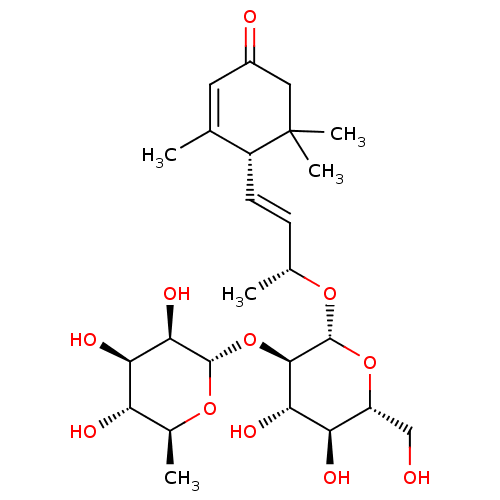 PNG