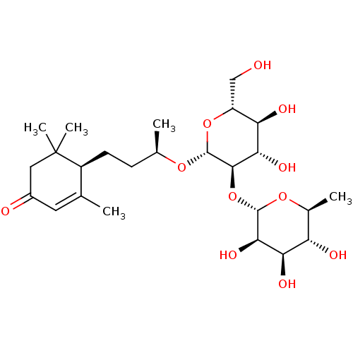PNG