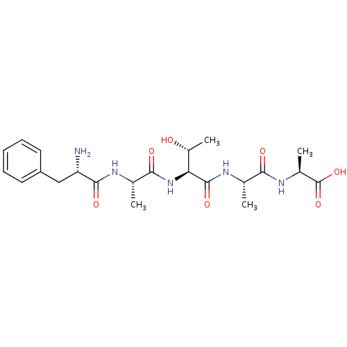 PNG