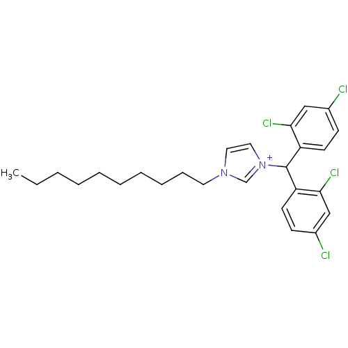 PNG