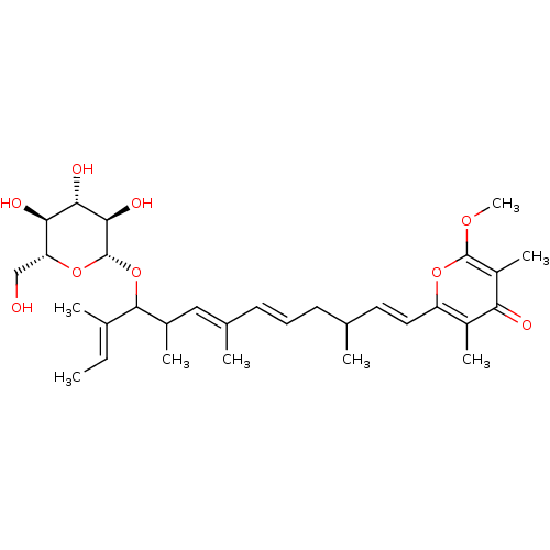 PNG