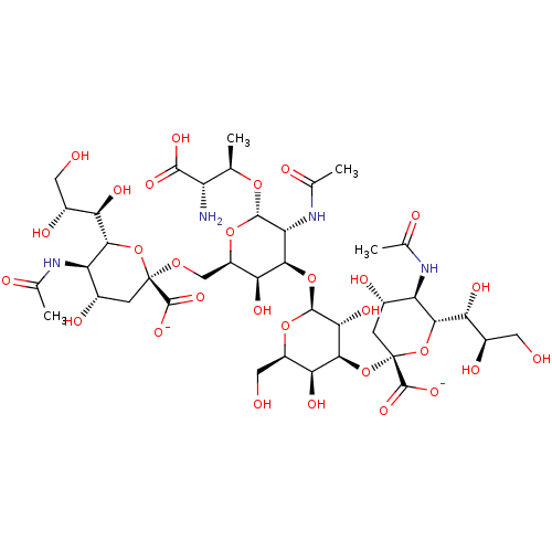 PNG