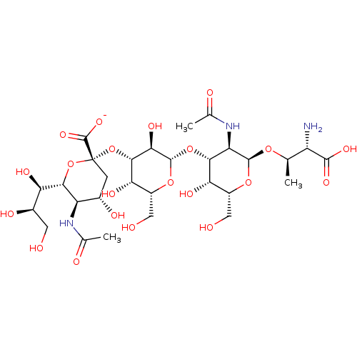 PNG