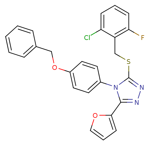 PNG