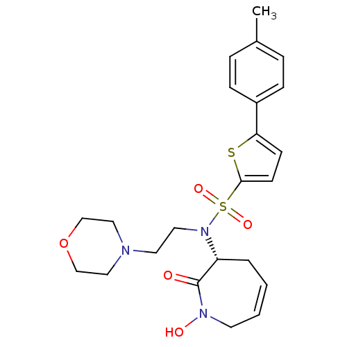 PNG