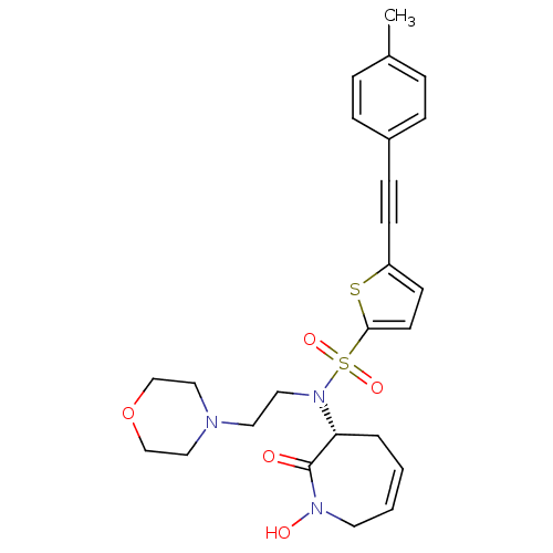 PNG
